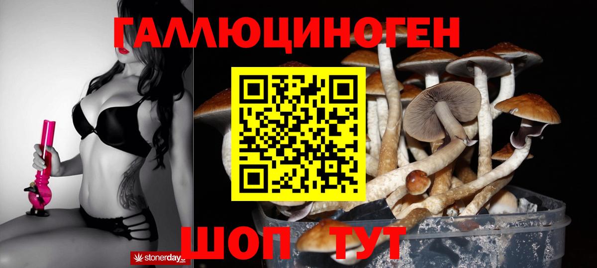 Псилоцибиновые грибы ЛСД Аргун