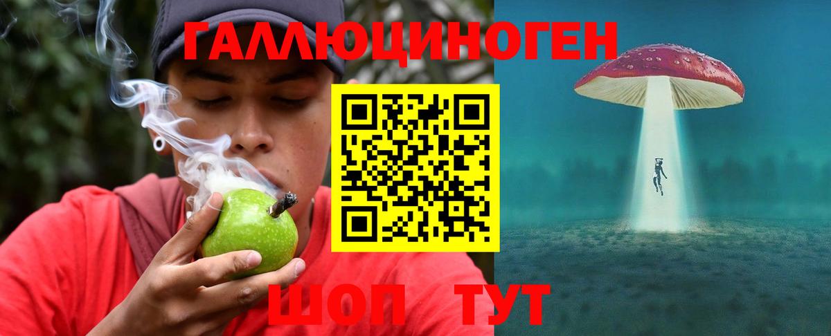 Аргун  Псилоцибиновые грибы прущие грибы  Вход с VPN 